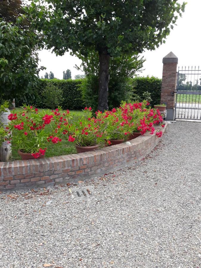 Al Sit Ed Marino Bed & Breakfast Castel Maggiore Eksteriør bilde